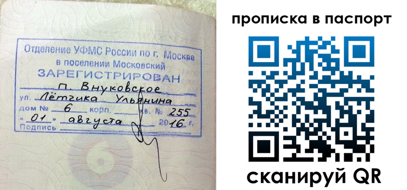временная прописка в Плавске